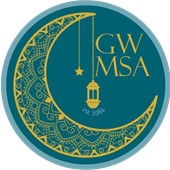 MSA logo