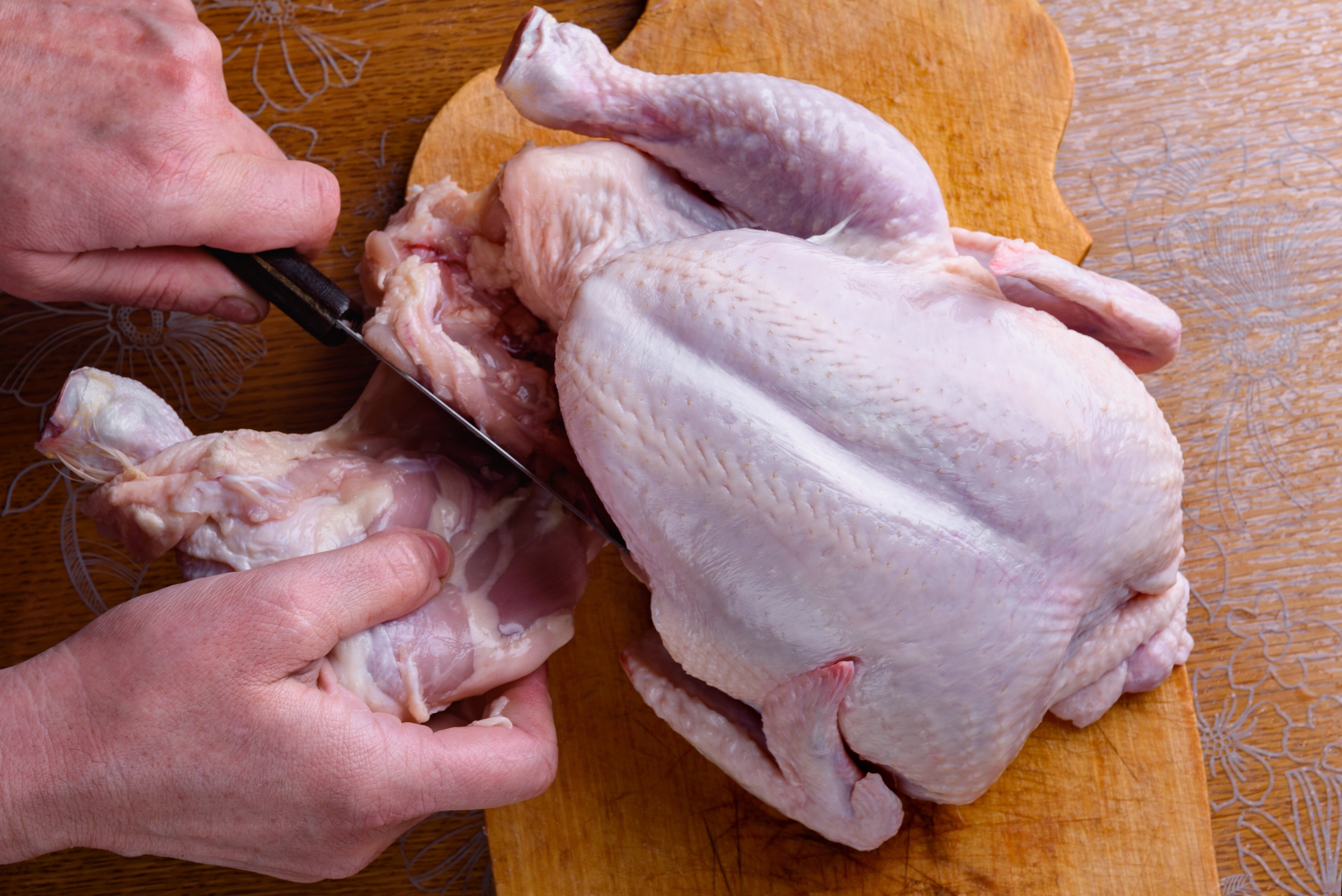 Meat and UTI Study October 2025