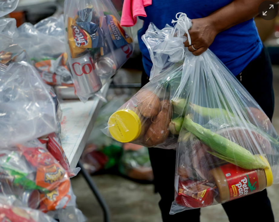 Grocery Shopping SNAP Guardian Article