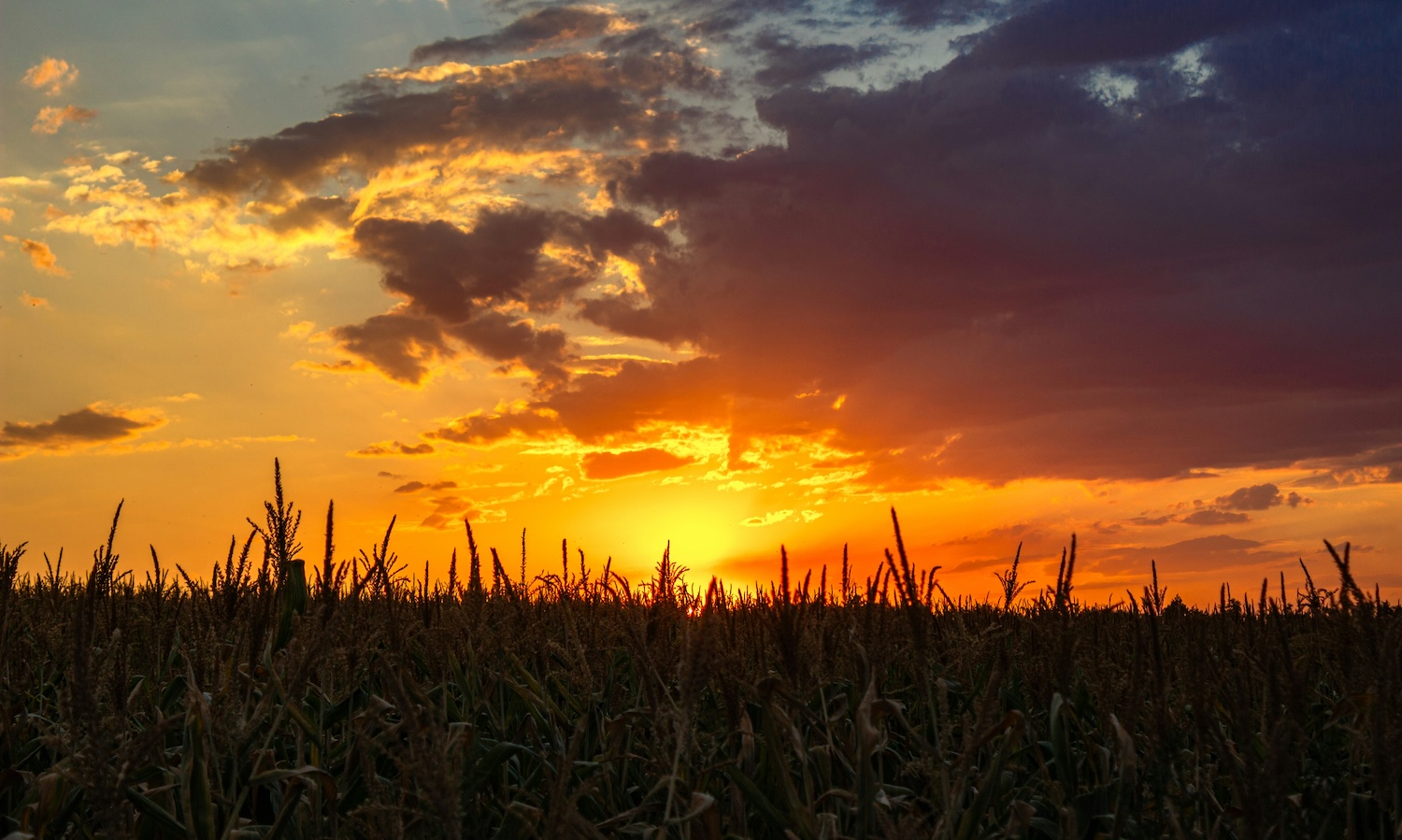 Growing Forward Final Piece Reflection 