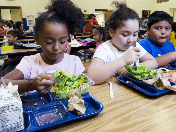 Universal School Meals in Michigan