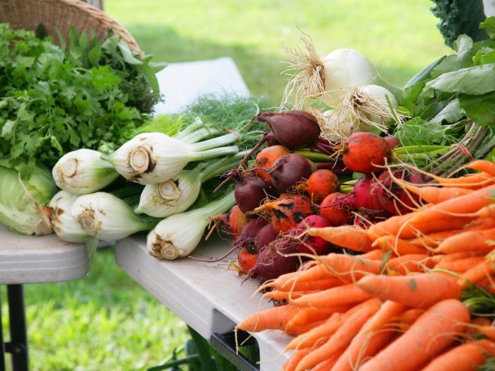 Dan Glickman Growing Forward Series Veggies