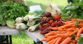 Dan Glickman Growing Forward Series Veggies