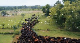 regenerative ag climate change