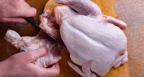 Meat and UTI Study October 2025